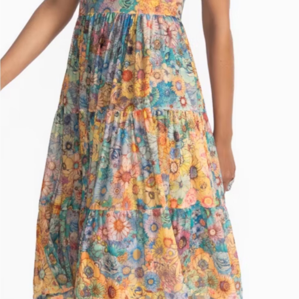 Beautiful Johnny Was Mesh Tired Slip Dress. NWT